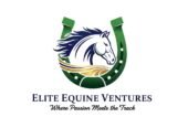I will design fascinating equestrian horse racing business logo