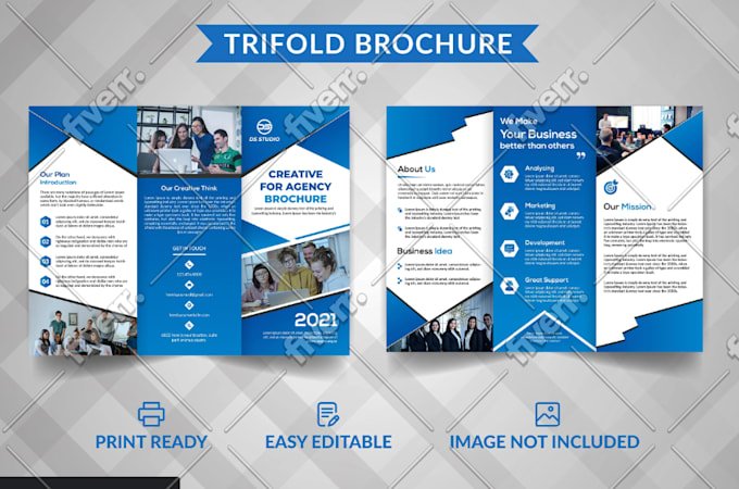 Professional Brochure Catalog and Flyer Design Services for Business Growth