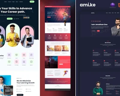 provide-responsive-wordpress-website-design-or-website-blog-redesign-11